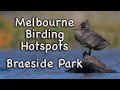 Melbourne Birding Hotspots Braeside Park