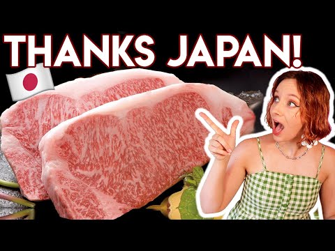 我通過繳納日本稅得到了免費的和牛! (I got FREE Wagyu Beef by doing my Japanese Taxes!)