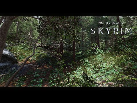 Skyrim Grass Mods Comparison: Which Mod Gives the Best Looking Landscape?
