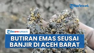 Viral Video Warga Temukan Butiran Emas Pascabanjir di Aceh Barat, Langsung Dibanjiri Pengungsi