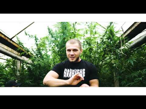 Prod. LYLU x MŁODY MOLLY - NIEDZIŚ (Official Video)