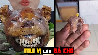 Bả Chó có Vị Gì ?