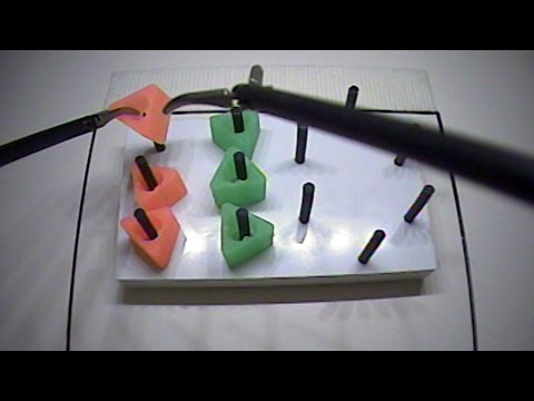 FLS Manual Skills Task Instructions