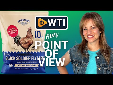 Dried Black Soldier Fly Larvae for Chickens 10LB – 100% Natural Non-GMO Bulk Chicken Feed – High Protein BSF Food with More Calcium Than Mealworms for Laying Hens - WTI product video review