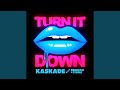 Turn It Down (Radio Edit)