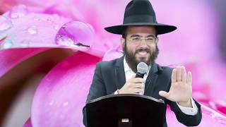 שבועות: הכנה לחג - הרב סנדרו בוחניק HD - שידור חי