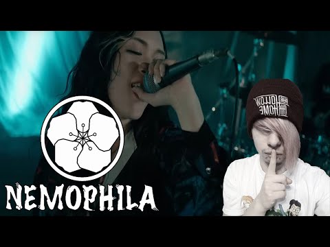 German Emo FIRST TIME Hearing Nemophila - Seize The Fate (REACTION)