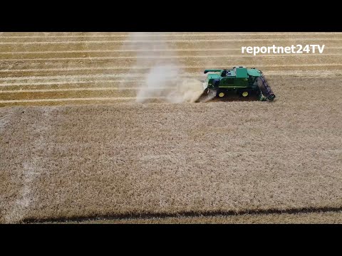 Getreide-Ernte 2021 angelaufen - Mähdrescher bei Erntearbeiten um Nauen, Luftaufnahme