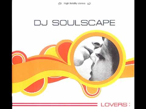 Wonderful (Feat.홍보람) - DJ Soulscape