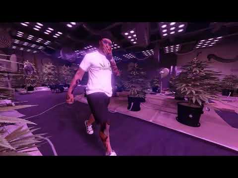 MUSKI - "MEDICATION MANAGEMENT" GTA Music Video