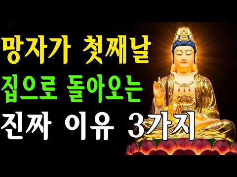 망자가 첫째날 집으로 돌아오는 진짜 이유 3가지 | 조상공양 |  스님의가르침 |  불교철학 | 사후세계이야기 | 죽음이후 |  생명순환 |  불교지혜 |  명상컨텐츠