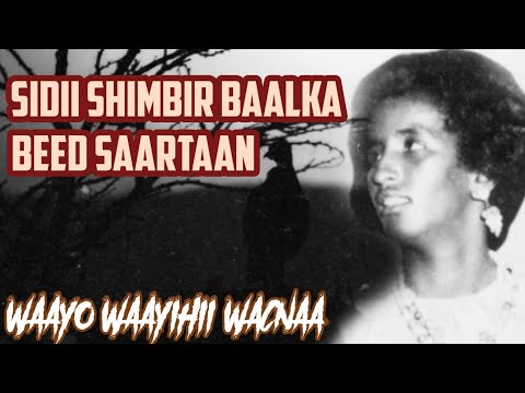 Seynab Cige Maxamed 🔥Iyo Heesta "KU MAAN CANAADEEN" (KALKAAL)