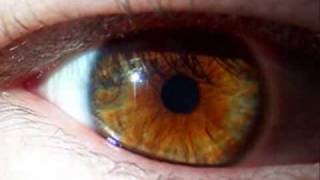 Lighting the Path to Yesterday by the Blaqk Year (with pictures of eyes)