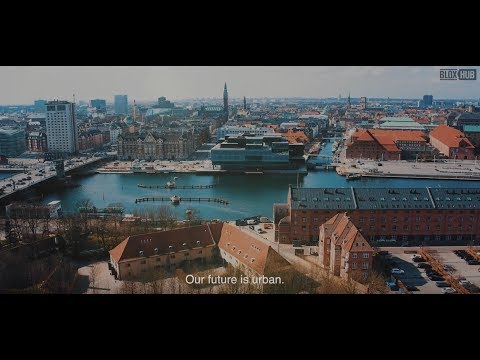gallery video