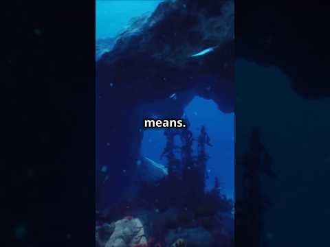 Why Money Will NEVER Make You Happy Without This?