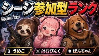 #シージX  #参加型 #初見さんいらっしゃい