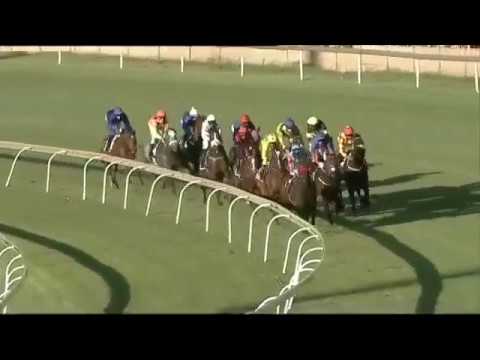 2019.11.30 Dingaans (RSA) - Shango