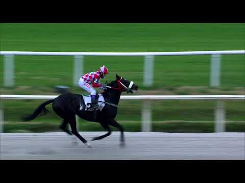 210821 c07 DON MUSSI (BRZ)