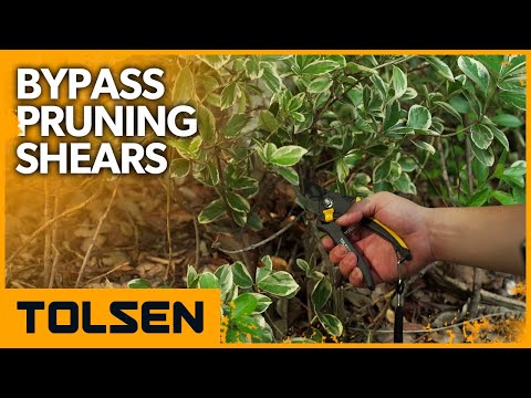 Миниатюра изображения товара Секатор механический Tolsen 31021