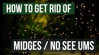 How to Get Rid of Midges (Biting Midges/No See Ums)