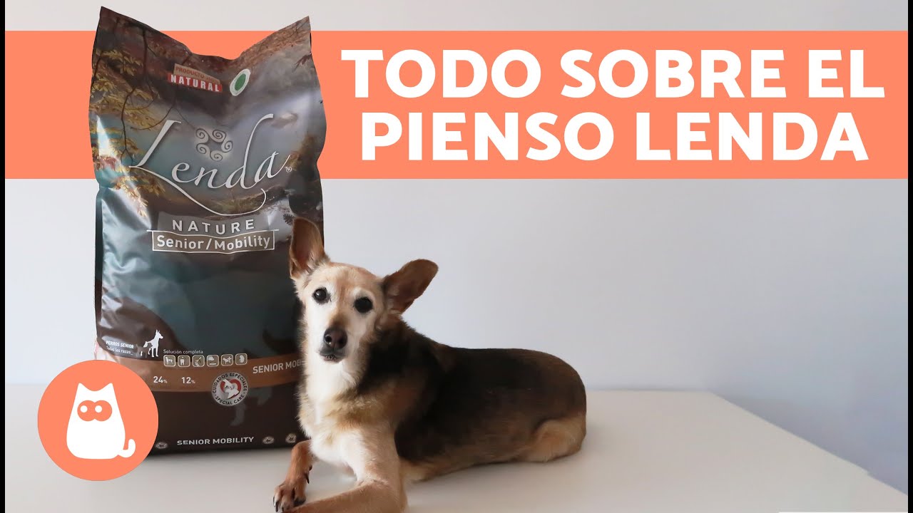 ¿Cómo es el PIENSO LENDA para PERROS 🐶🥩 (Composición, Variedades y Beneficios)