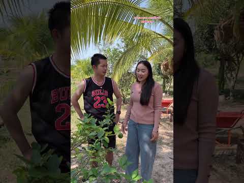 ตอน คึดว่าแม่นผัวเจ้าของตี้ซั่นดอก #ตลกสั้นพี่อ้ายน้องเมีย #ตลกอีสาน #comedy