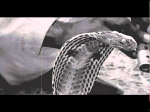 Jean-Eméric DANCO-Teaser #03 - LP Chansons pour...- The Snake -