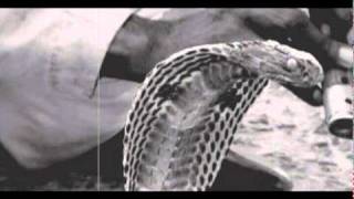 Jean-Eméric DANCO-Teaser #03 - LP Chansons pour...- The Snake -