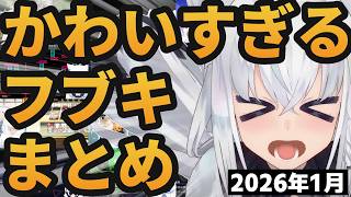 【総集編】まるで猫みたいなフブにゃのかわいさが半端ない2026年1月まとめ【ホロライブ切り抜き/白上フブキ】