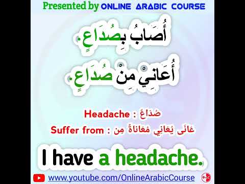 Learn Fusha: Most Useful Arabic Phrases Daily With Amir On OAC 260