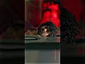 Pyaar Di Rabba Utte Yaar Tu Le Ayaa Lofi Status Friendship Status ️ Duniya Lofi Status