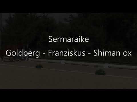 2020 - Sermaraike - von Goldberg a.d. VbPrSt Serjade (Franziskus)