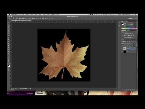 Blender Tutorial: Alpha Mapping 2.68