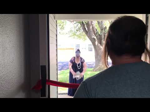 GISH 2020 #46 Social Distance Trick or Treating