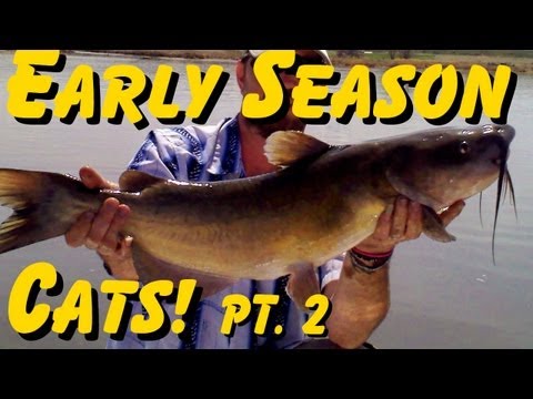 How To Locate And Catch Early Season Catfish - Part 2
