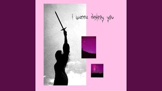 i wanna destroy you Music Video