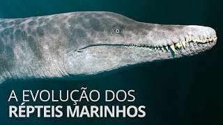 Ascensão e queda dos répteis marinhos: por que não existem mais?