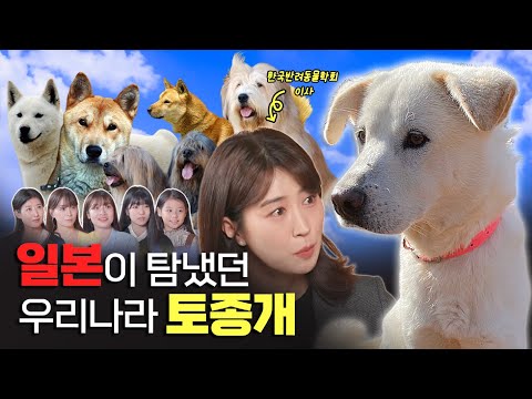강아지에 대해서 얼마큼 알고있나요? (feat. 한국반려동물학회 이사) | STEP 5 STEP(SUB)