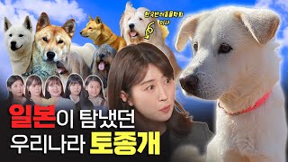 강아지에 대해서 얼마큼 알고있나요? (feat. 한국반려동물학회 이사) | STEP 5 STEP(SUB)
