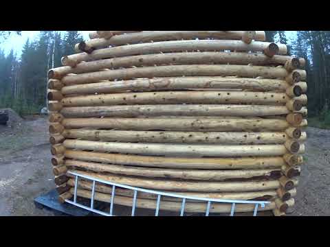 Liiteri lehtikuusesta, millanen tuli?