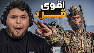 اقوى قرد في الطائف