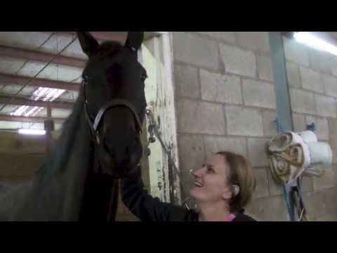 Au revoir Eblouissante