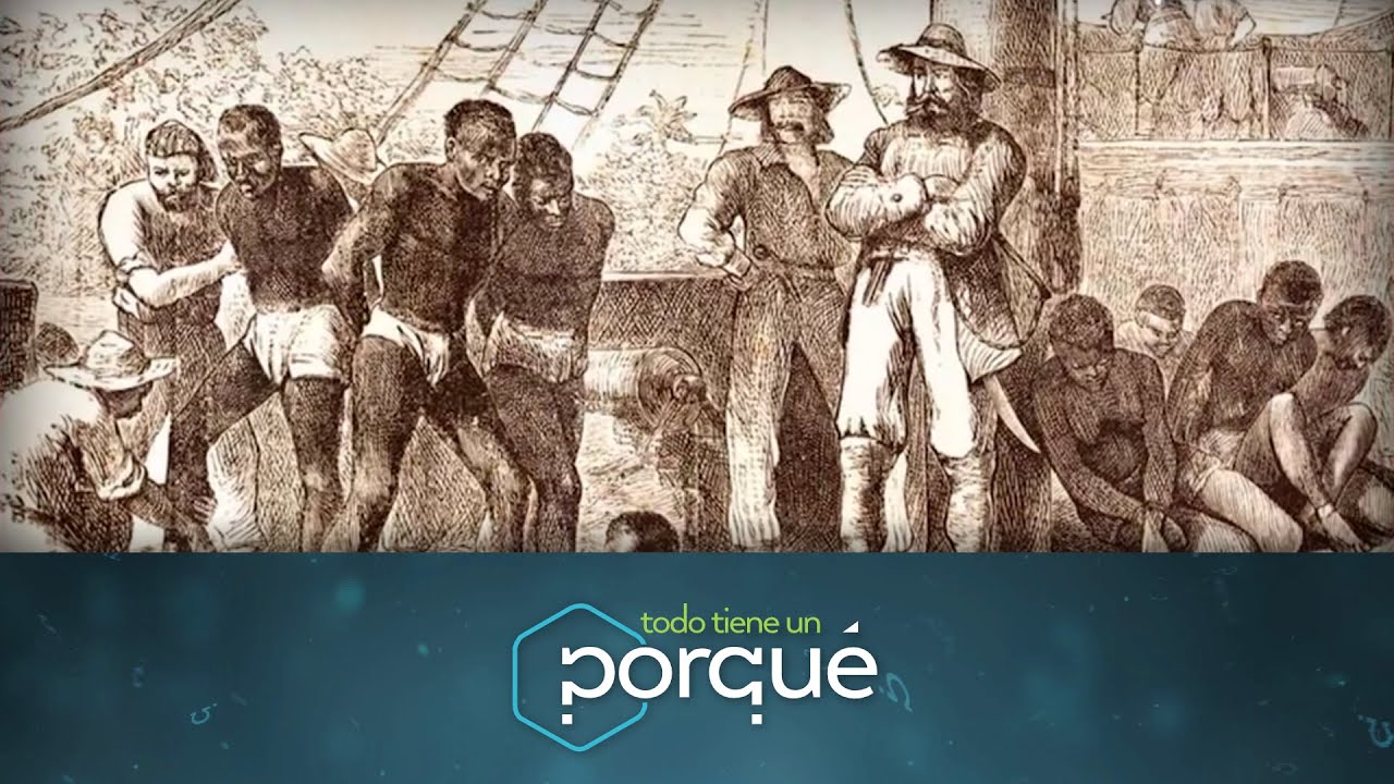 Brasil y su historia - Todo tiene un porqué