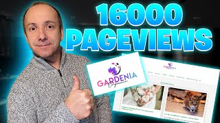 Aged Domain Case Study - INCOME REPORT 💰