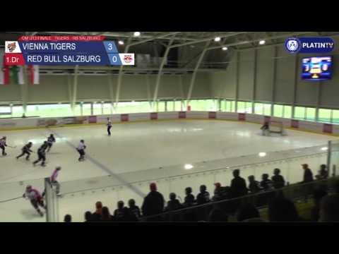 Tor -  Vienna Tigers / Red Bull Salzburg am 20.03.2016 14:59