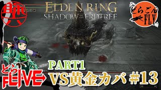 #13【ELDEN RING SHADOW OF THE ERDTREE 】やっと進める影の地【スケロク配信】
