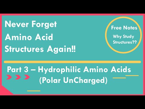 [04] Amino Acid Structures - Hydrophilic Ionizable Amino Acids- Part 3/3 | Easy Mnemonic to Memorize