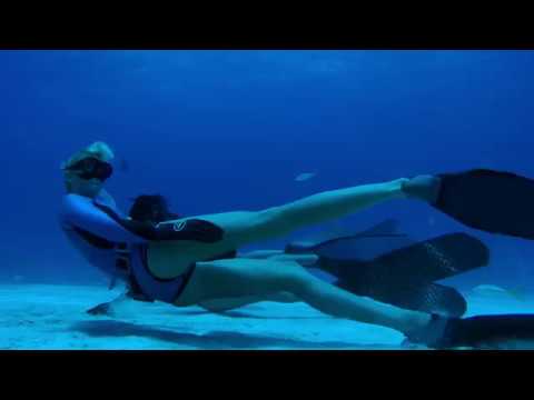 Freediving with Tiger Sharks in 4K (GoPro Hero6 Launch Promo)