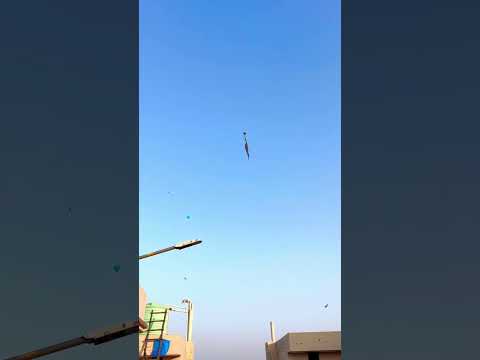 Wait for the end😂kite flying🪁in Amritsar🌪️ #amritsar #kiteflying #kite #subscribe #viral #shorts