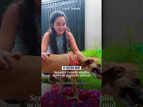 Senador Canedo amplia ações de proteção animal